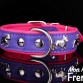 Collar BULLDOG FRANCÉS